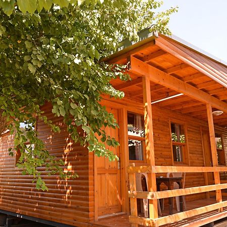 Tolay Hotel Oludeniz Bagian luar foto